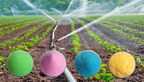 Fertilizers in Water: A Comprehensive Guide