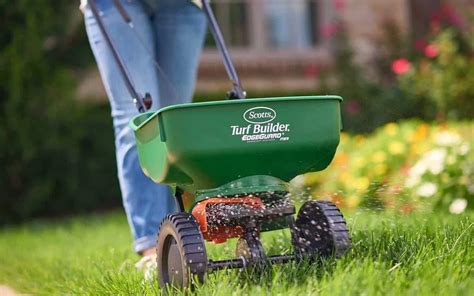 Fertilizing After Mowing: A 10-Step Guide to a Lush Lawn