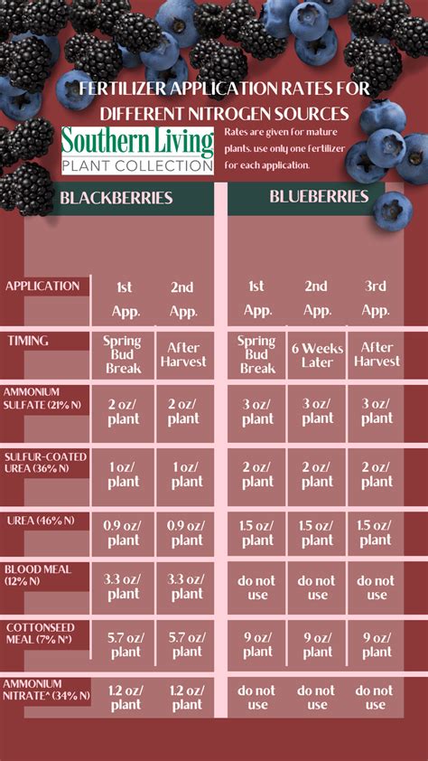 Fertilizing Berry Bushes: A Comprehensive Guide to Nutrient-Rich Fruits