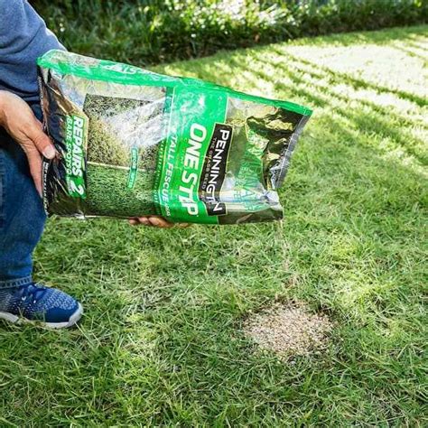 Fertilizing Grass Seed: The Ultimate Guide to a Lush, Healthy Lawn