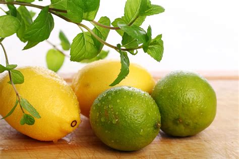 Fertilizing Lemon Trees: A Comprehensive Guide