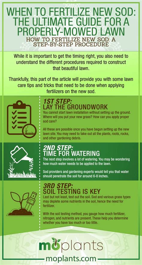 Fertilizing New Grass: The Ultimate 6-Step Guide