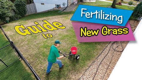 Fertilizing New Grass Seed: The 4-1-1