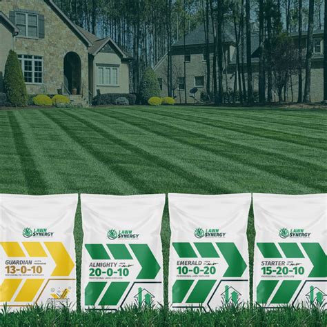 Fertilizing New Sod: A Comprehensive Guide to Nourishing Your Lawn