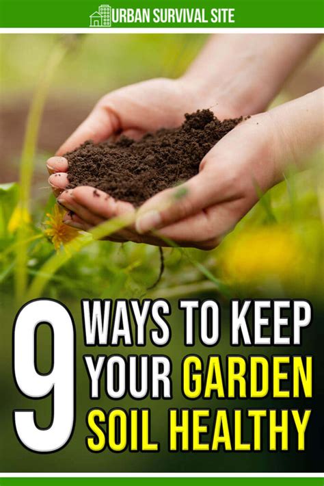 Fertilizing Pot: 101 Ways to Boost Your Soil Health