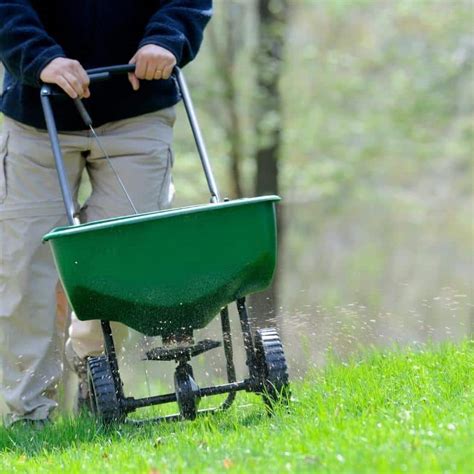 Fertilizing Service: Enhance Your Landscape's Vibrancy and Health