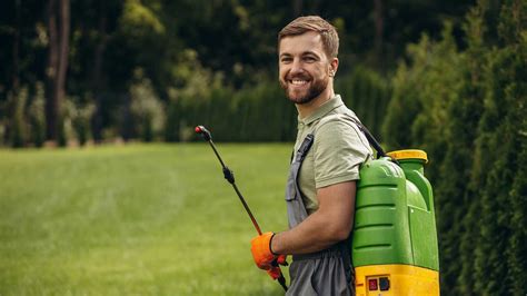 Fertilizing Service: Unlocking the 5 Secrets to a Lush Green Lawn