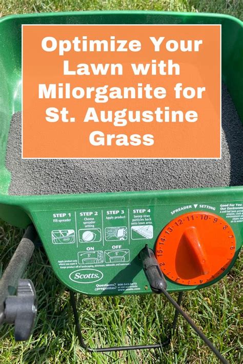 Fertilizing St. Augustine Grass in the Fall: A Comprehensive Guide for Professional Lawn Care