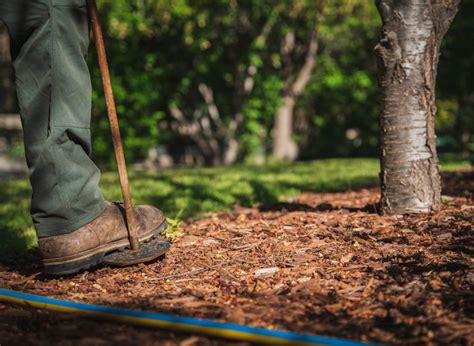 Fertilizing Trees the Easy Way: 10-10-10 FTW!