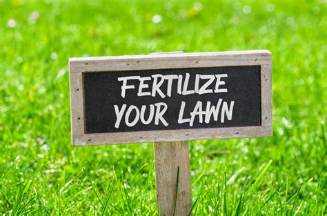 Fertilizing Your Lawn