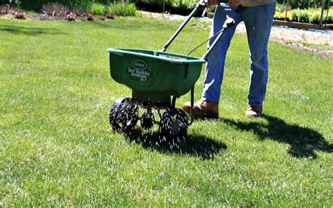 Fertilizing Your Lawn: A Comprehensive Guide