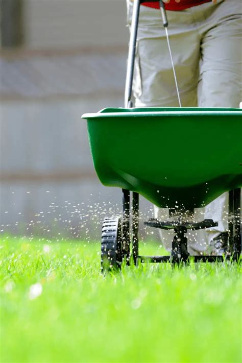 Fertilizing Your Lawn in the Summer: Frequently Asked Questions