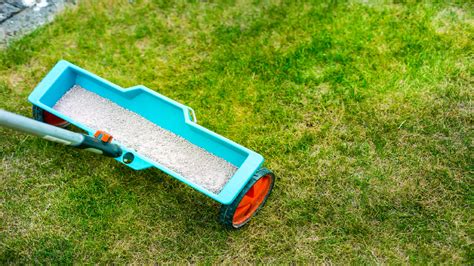 Fertilizing Your Lawn with Dog Poop: 5 Smart Ways