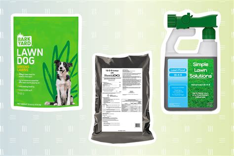 Fertilizing Your Lawn with Dogs: 10 Smart Tips