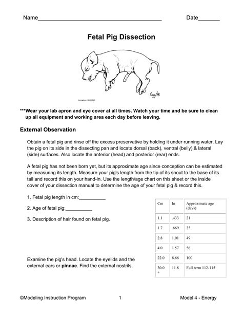 Fetal Pig Dissection Lab Packet Answers Kindle Editon