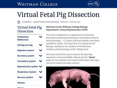 Fetal Pig Dissection Whitman College Answers Epub