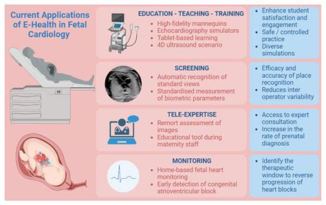 Fetal and Neonatal Cardiology Doc