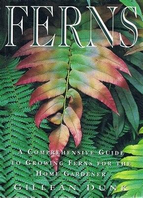 Feya Fern: A Comprehensive Guide to its Benefits, Cultivation, and Use