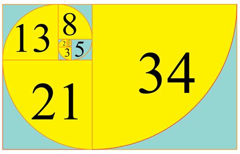 Fibonacci Numbers 1st Edition Kindle Editon