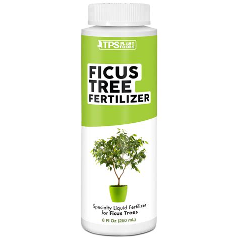 Ficus Tree Fertilizer: 7 Vital Nutrients for Optimal Growth