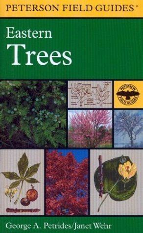 Field Guide Eastern Trees Including Kindle Editon