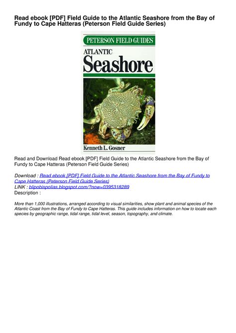 Field Guide To The Atlantic Seashore From The Bay Ebook PDF