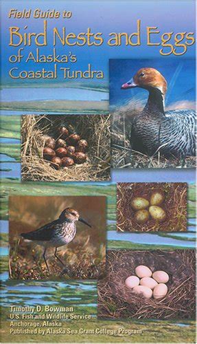 Field Guide to Bird Nests And Eggs of Alaska's Coastal Tundra Epub