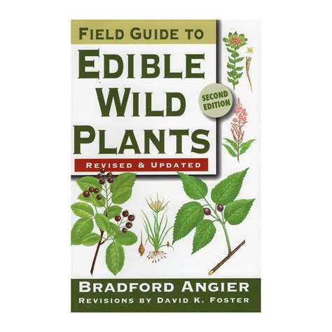 Field Guide to Edible Wild Plants Epub