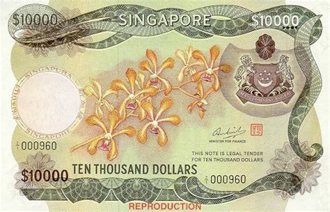 Field Notes Singapore: 10,000+ Fascinating Insights