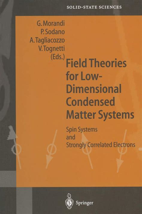 Field Theories for Low-Dimensional Condensed Matter Systems 1st Edition PDF