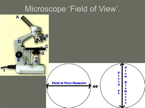 Field of View Microscope: Expanding Your Microscopic Horizons by 3X