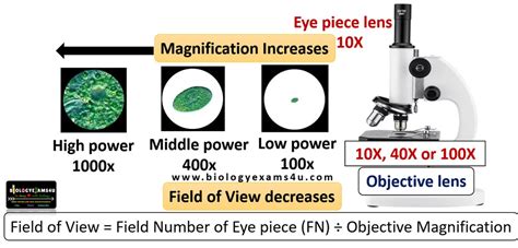 Field of View Microscope: Unlocking a Whole New World in 10,000x Detail