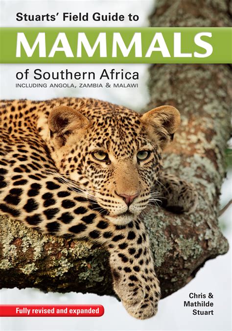 Field.Guide.to.Mammals.of.Southern.Africa Ebook Epub