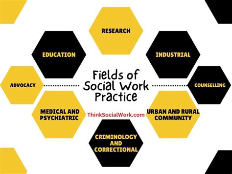 Fields of Social Work Epub