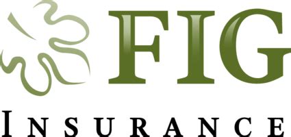 Fig Insurance Group