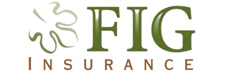 Fig Insurance Group: A Comprehensive Guide