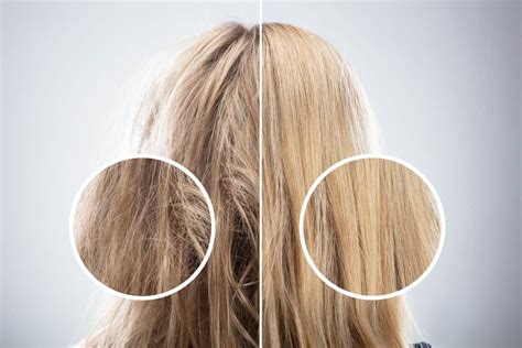 Figure 1: Hair Damage Comparison