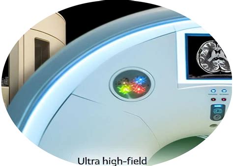 Fijisaki: Unlocking the Secrets of Ultra-High Field MRI