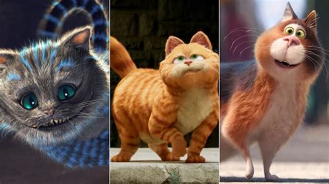 Filmes que Você e Seu Gato Vão Amar Assistir Juntos