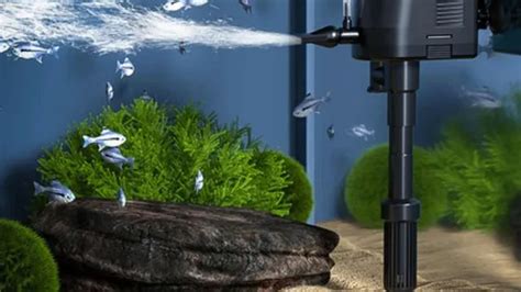 Filtration System Aquarium: The Ultimate Guide to Clean and Healthy Water