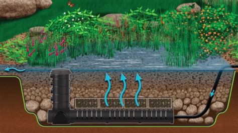 Filtration System for Fish Pond: Your Complete Guide to Crystal-Clear Water