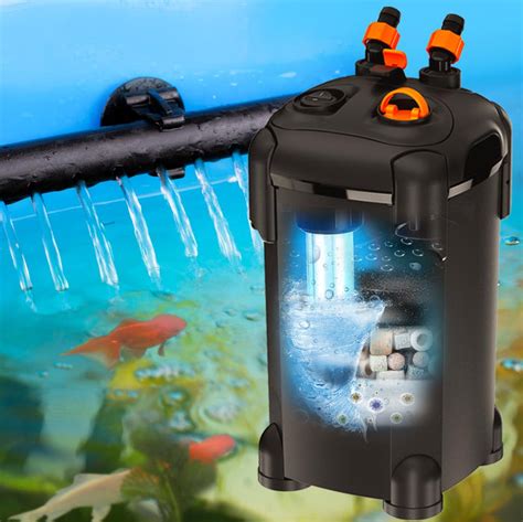 Filtration System for Fish Tanks: A Comprehensive Guide