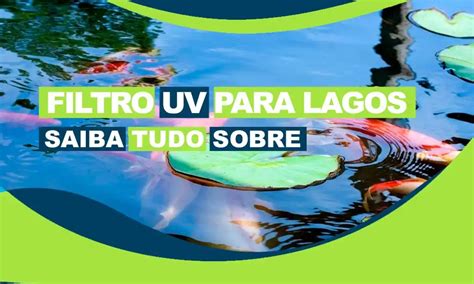 Filtro UV para Lagos: Guia Completo para Ambientes Aquáticos Saudáveis