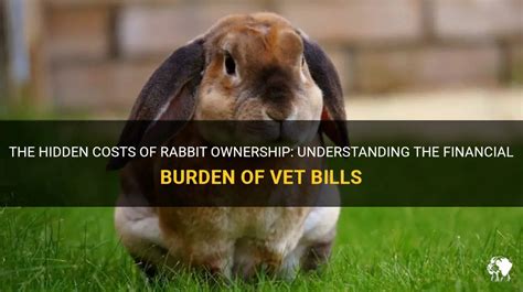 Financial burden of veterinary expenses: