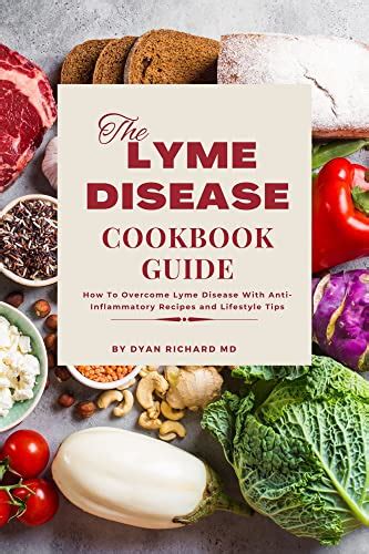 Find A Way to Recovery 25 Amazing Recipes for Repair to Overcome the Lyme disease Kindle Editon