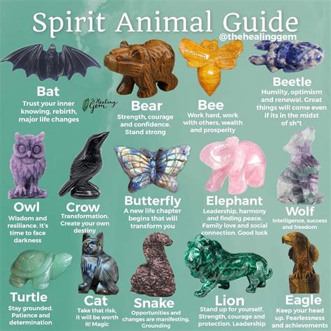 Find Your Spirit Animals PDF