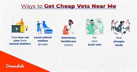 Find the Perfect Vets With Boarding Near You in 2025!