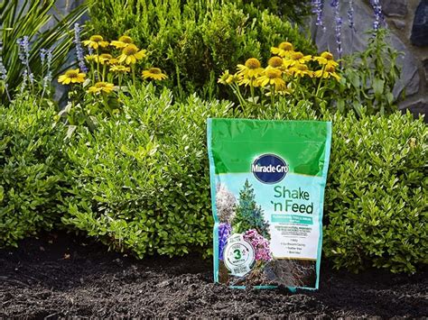 Find the Right Shrub and Tree Fertilizer Nearby for Your Needs