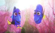 Finding Dory, Jenny, and Charlie: Unveiling the Unsung Heroes of Aquarium Care