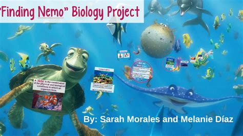 Finding Nemo Biology Answer Reader